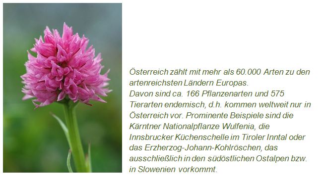 Bild einer Blume mit Text über Österreichs Tier- und Pflanzenarten