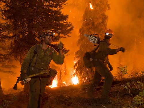 Feuerwehrmänner bekämpfen Waldbrand