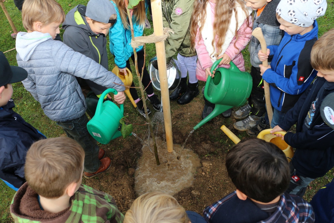 Kinder beim Bäumepflanzen