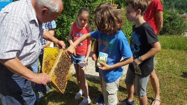 Bienen, Imkerei und Klimawandel