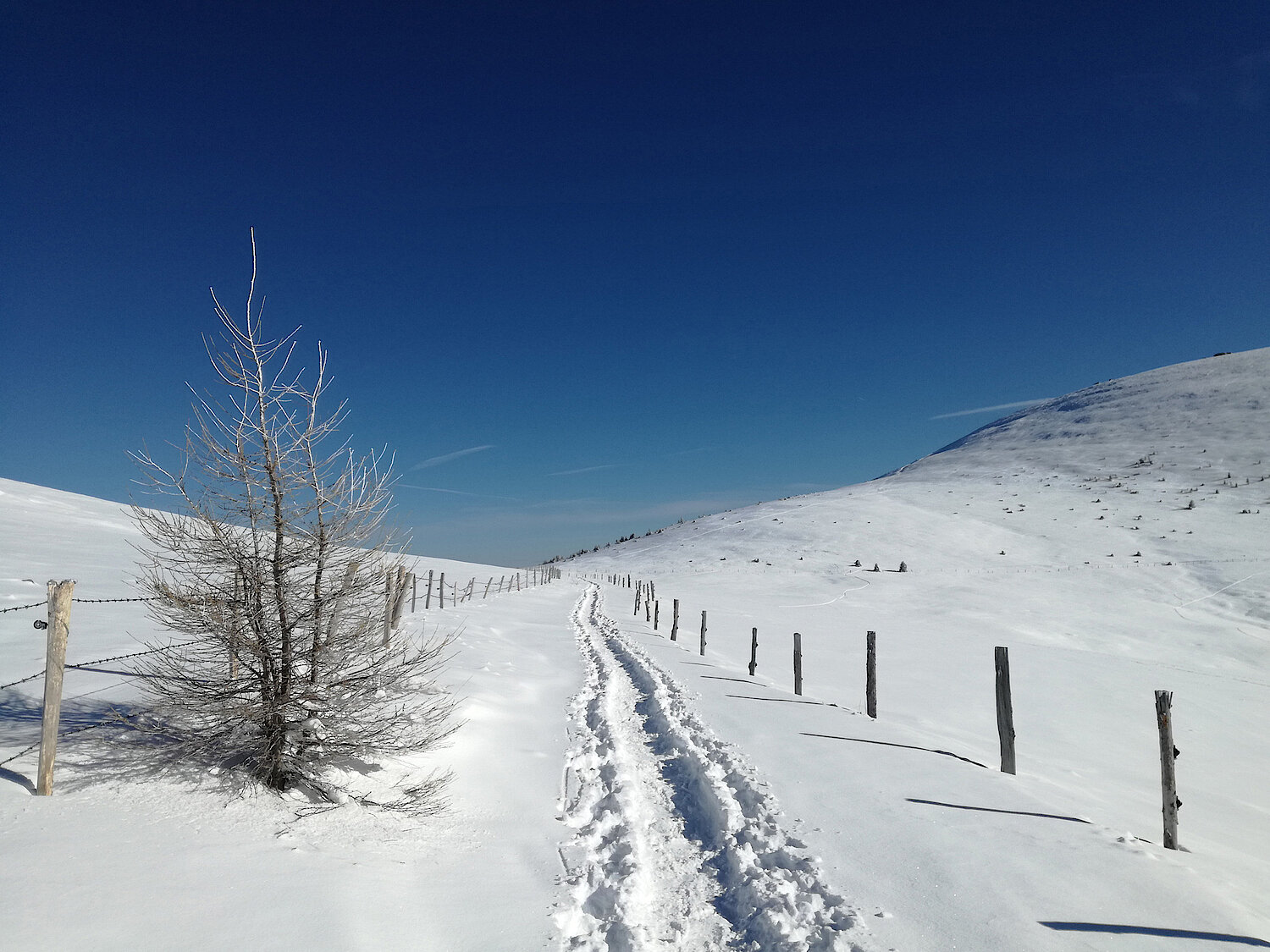 Foto Wanderweg im Schnee