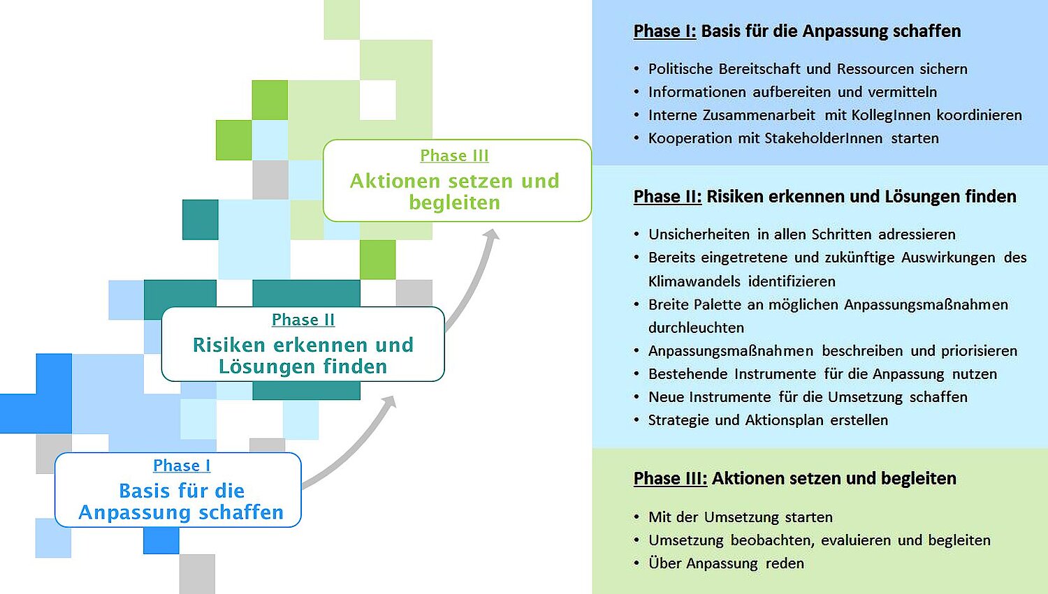 Darstellung der drei Phasen im Anpassungsprozess