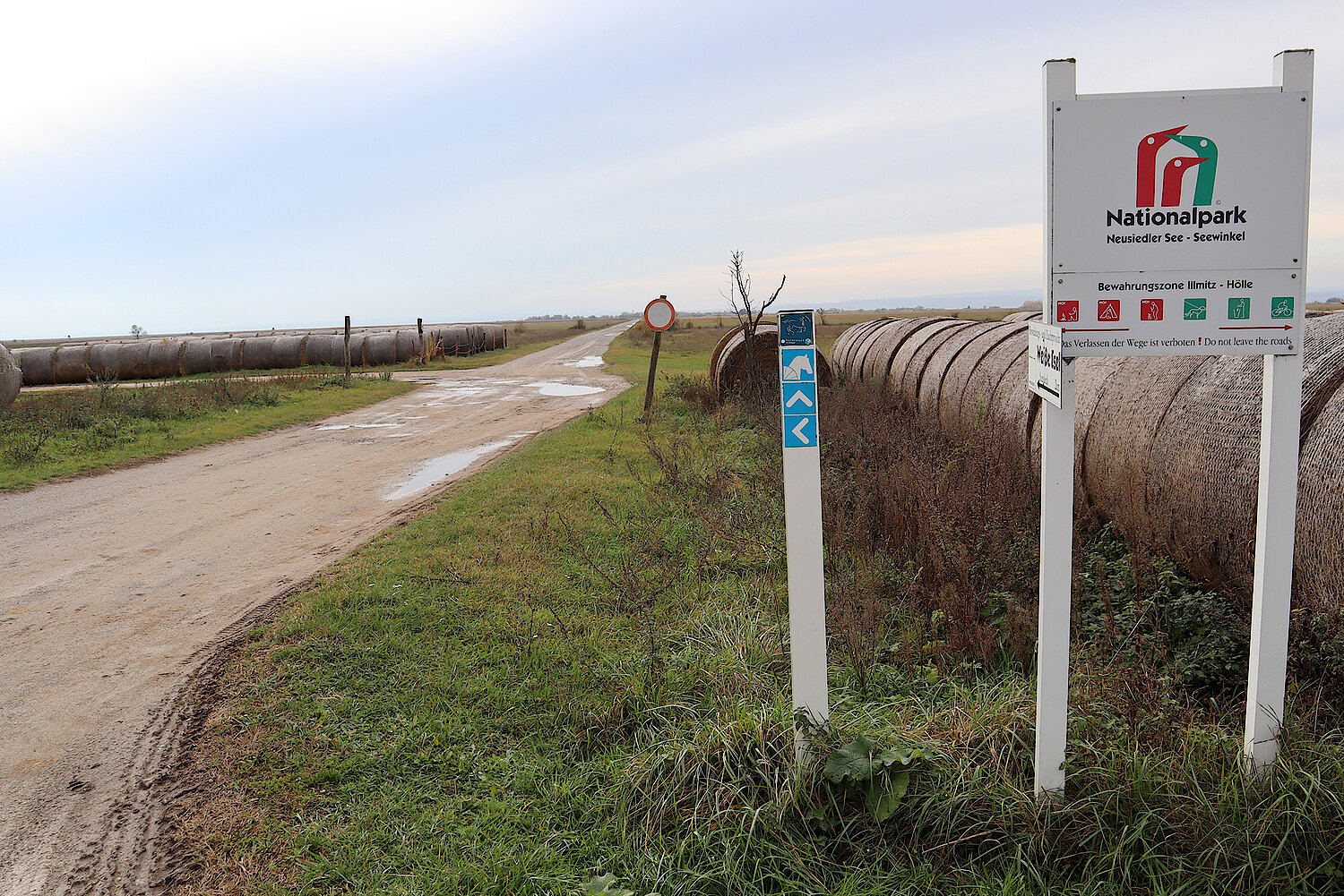 Foto Nationalpark Neusiedlersee