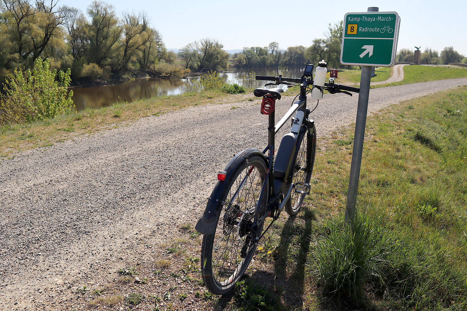 Radweg im Nationalpark Donau-March-Thaya-Auen 