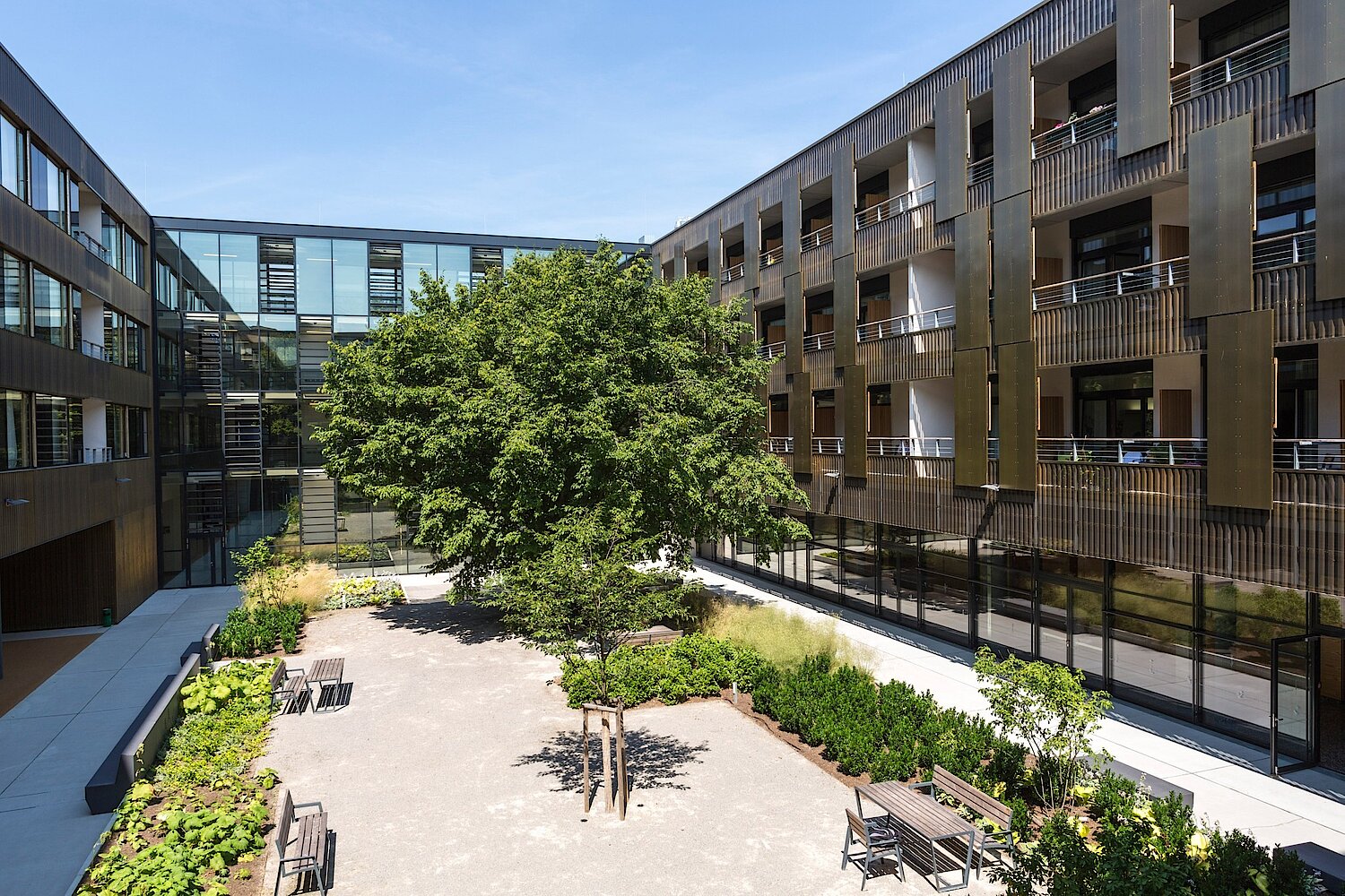 Bauliche Vorsorge oder Bepflanzungen sind Maßnahmen, die helfen können, die Temperatur im Innenraum zu reduzieren. Am Foto ist der begrünte Innenhof des Pflegewohnhauses Liesing/Wien zu sehen. Begrünter Innenhof eines Pflegewohnheims