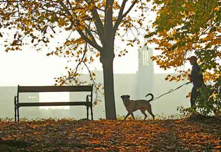 Spaziergang mit Hund