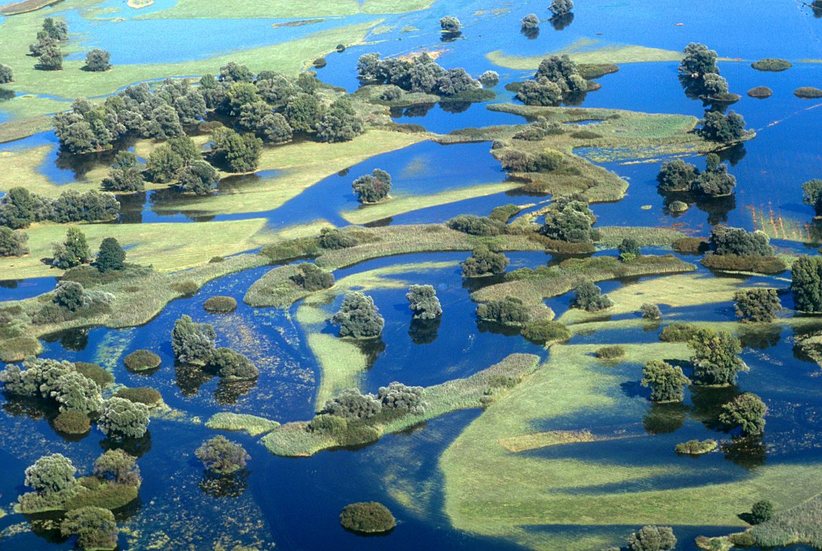 Foto Flusslandschaft