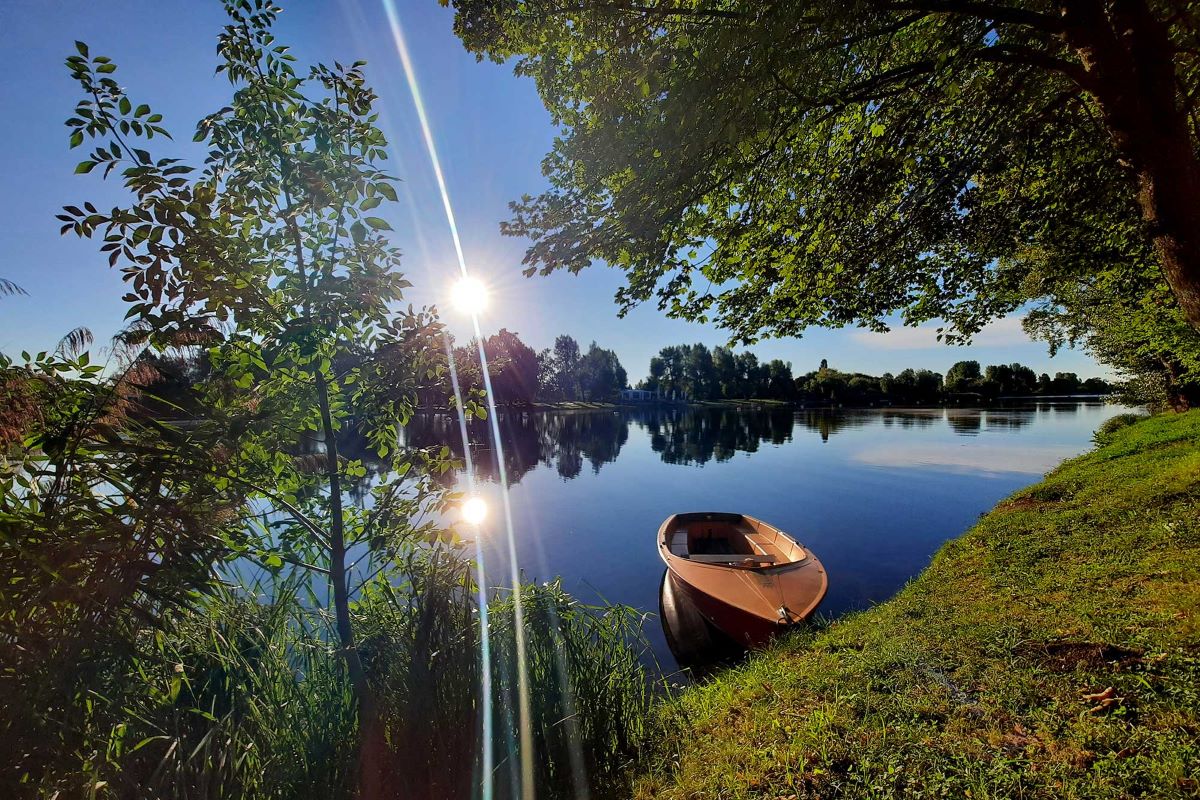 Foto Ruderboot im Nationalpark Donauauen