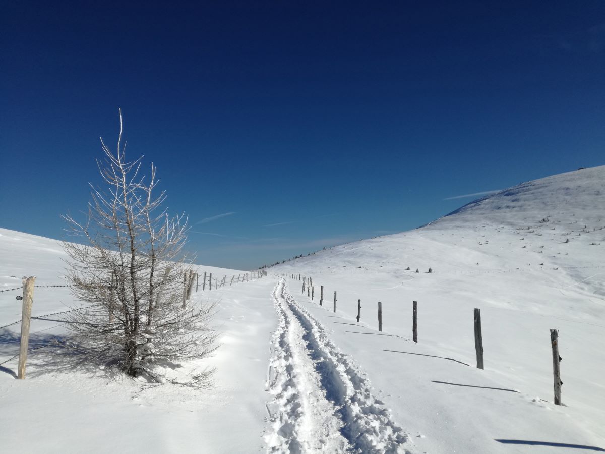 Wanderweg im Schnee
