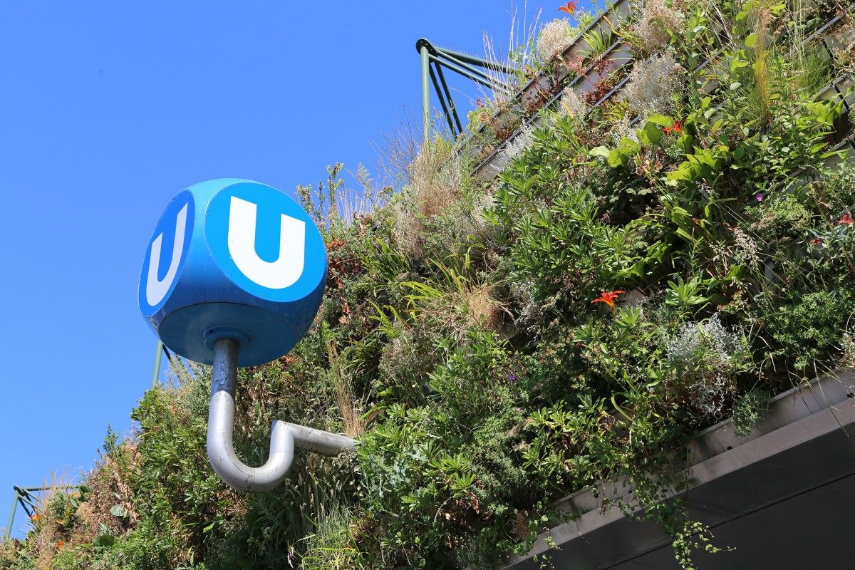 Foto Begrünung eines Gebäudes