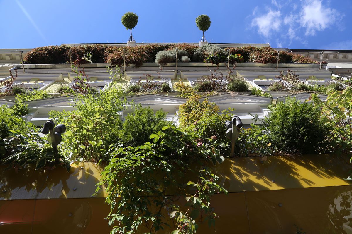 Haus mit begrünter Fassade