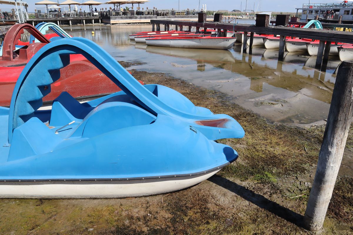 Foto Trockenheit am Neusiedlersee