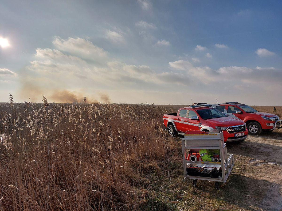 Foto Feuerwehreinsatz