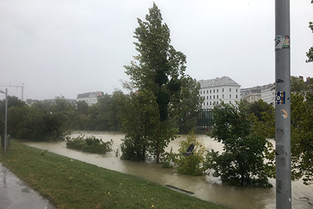 Hochwasser in Wien Hochwasser in Wien