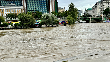 Hochwasser in Wien Hochwasser in Wien