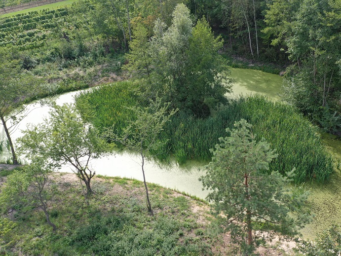 Biotop