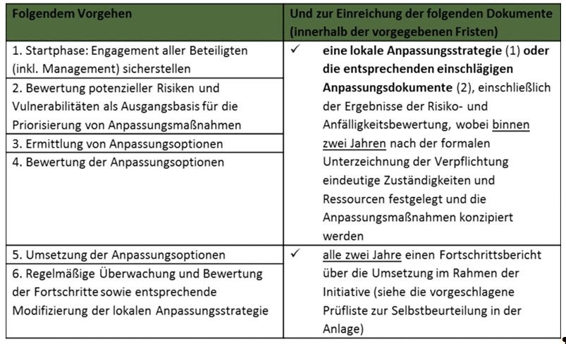 Auszug aus der Verpflichtungserklärung für die BürgermeisterInnen Auszug aus der Verpflichtungserklärung für die BürgermeisterInnen