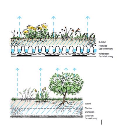 Skizzen zu extensiver Dachbegrünung mit Retentionsdach und intensiver Dachbegrünung 