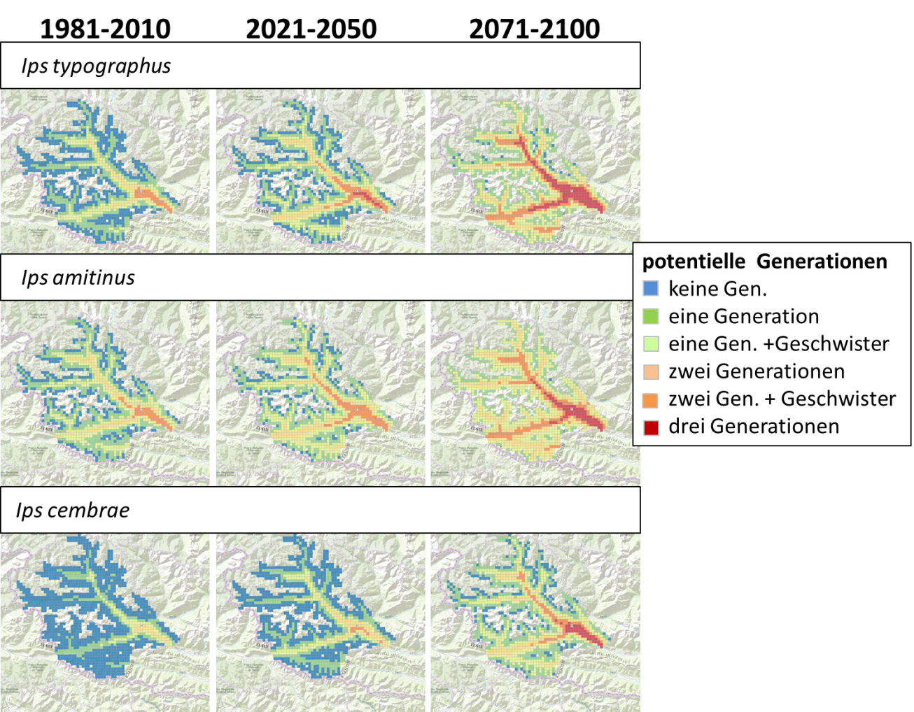 Generationszahl des Buchdruckers (Ips typographus), des Kleinen Buchdruckers (Ips amitinus) und des Großen Lärchenborkenkäfers (Ips cembrae) für Waldstandorte in Osttirol für gegenwärtiges und zukünftiges Klima. Man sieht deutlich, dass auch Bereiche, die derzeit für die Vermehrung der Tiere nicht geeignet sind (blau = keine Generation) Mitte, aber insbesondere Ende des Jahrhunderts, aufgrund des Klimawandels Bedingungen aufweisen, die bis zu 2 Generationen mit Geschwistern aufweisen können 