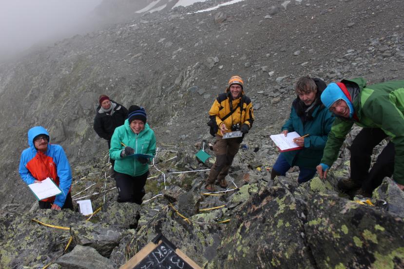 GLORIA-Vegetationskartierung 2014 am Schrankogel Kartierer am Schrankogel
