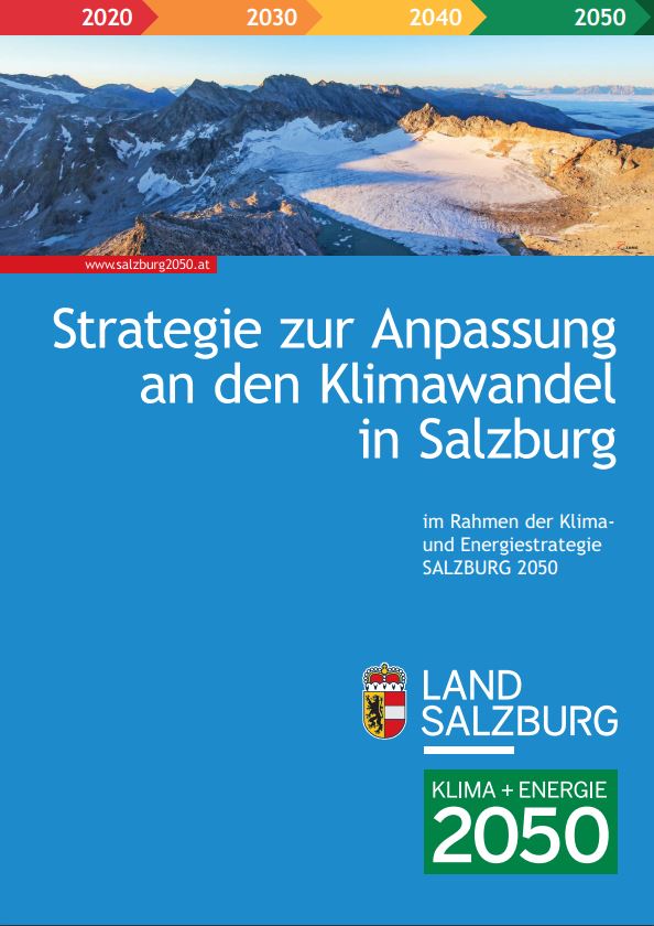 Titelbild der Strategie