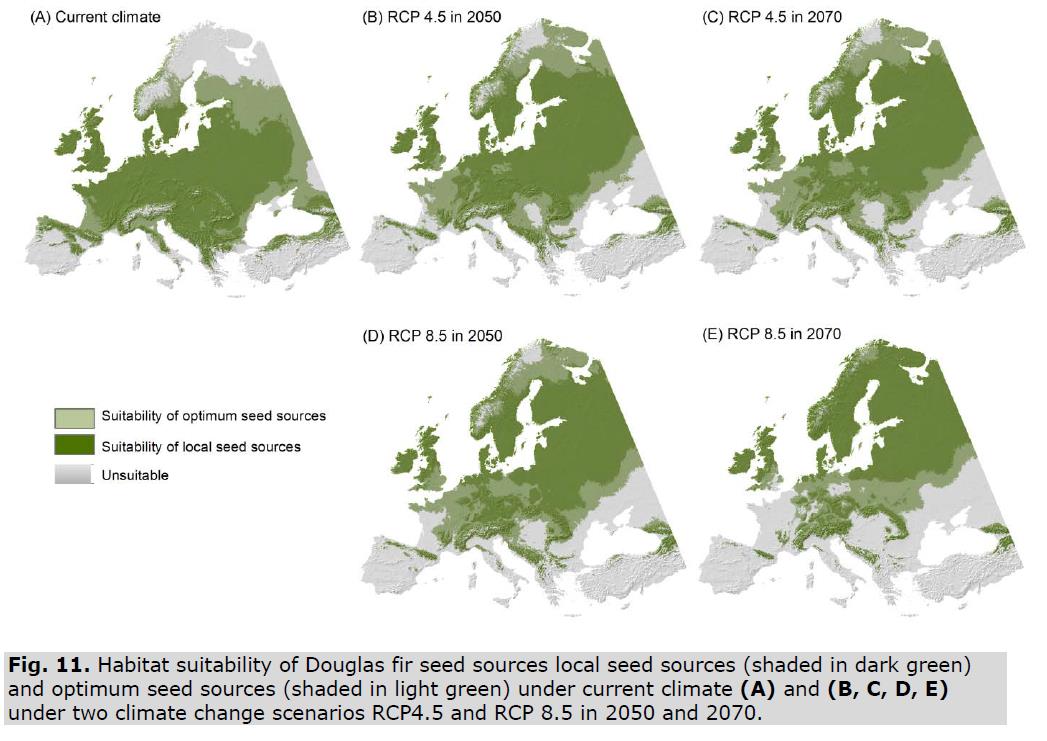 Potentielle Anbaugebiete der Douglasie in Europa.