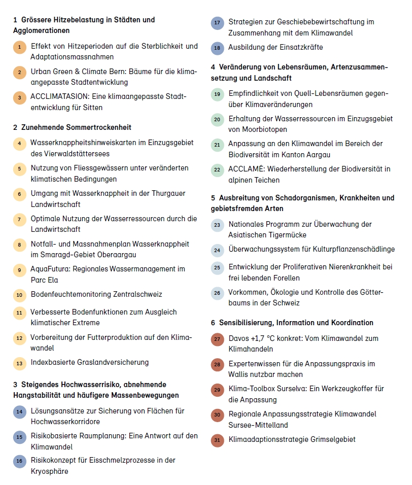 Tabelle mit den 31 Projektthemen