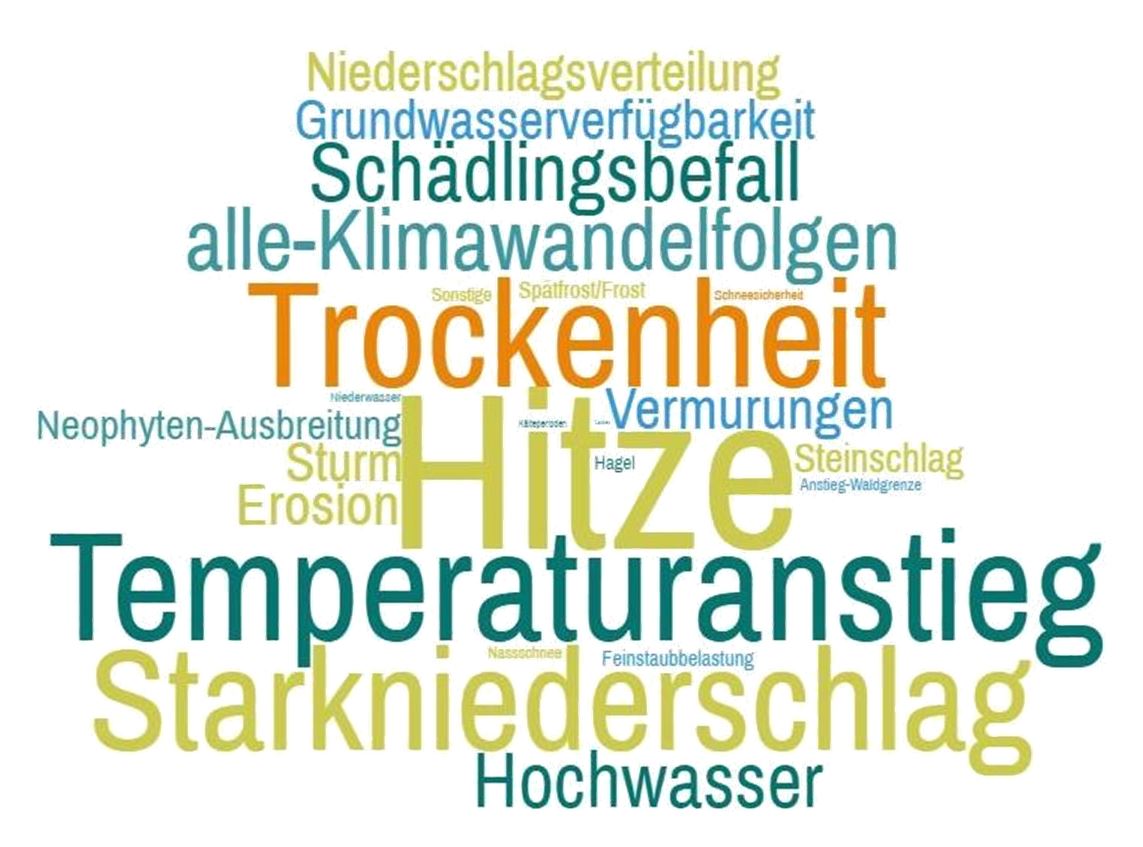 Word Cloud - Auswirkungen des Klimawandels, die mit den KLAR!-Maßnahmen adressiert werden.