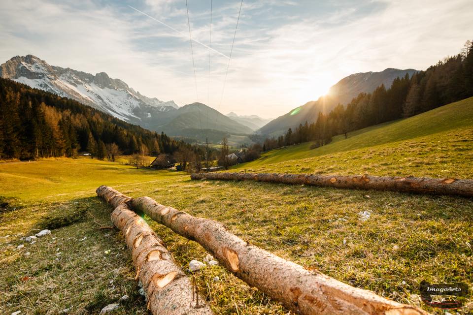 Diese Einsendung zum Klimawandel-Wettbewerb zeigt die romantische Seite der Forstwirtschaft im Rosental. Blick ins Rosental