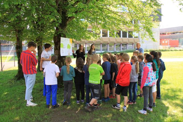 Schüler unterrichten Schüler beim Kinder-Klima-Kongress im BORG Egg Schülerinnen und Schüler beim Kinder-Klima-Kongress