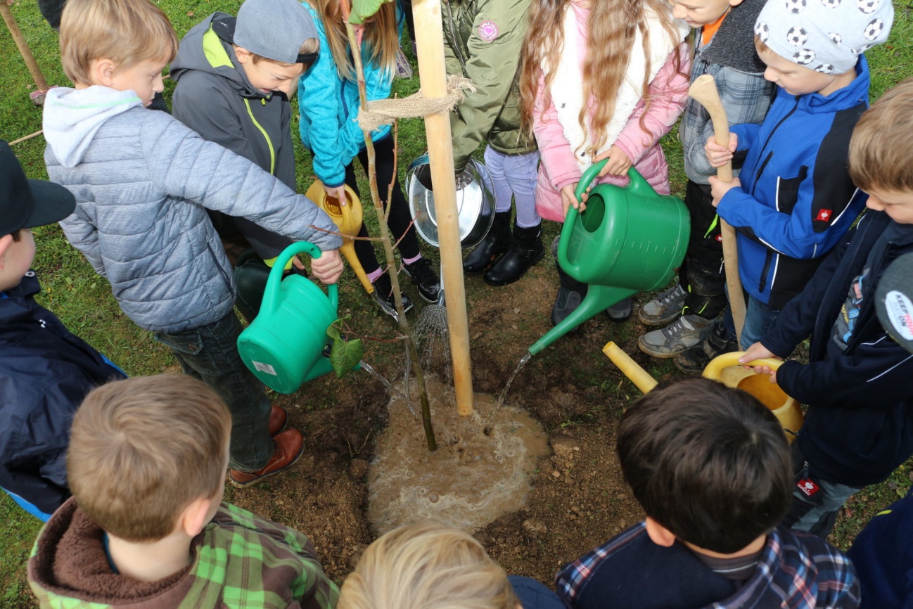 Baumpflanzaktion in der VS Sonnhofen Kinder beim Bäumepflanzen