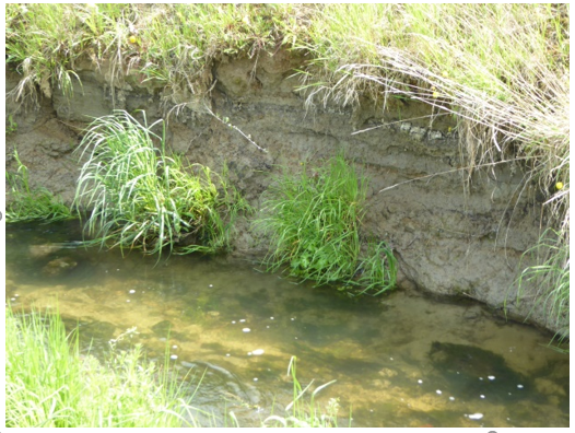 niedriger Wasserstand