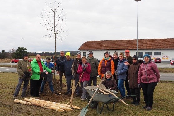 Baumpflanzung Groß Siegharts