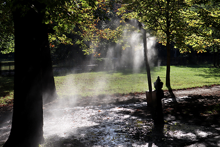 Nebeldusche im Park