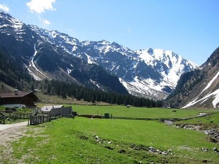 grüne Wiesen mit schneebedeckten Bergen