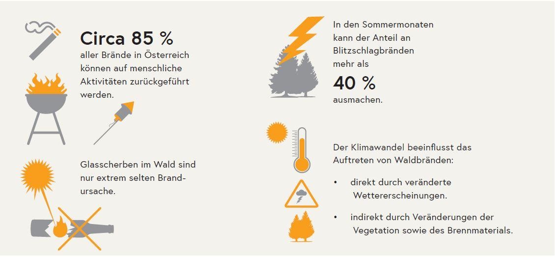 Grafik zur Statistik über Brandursachen