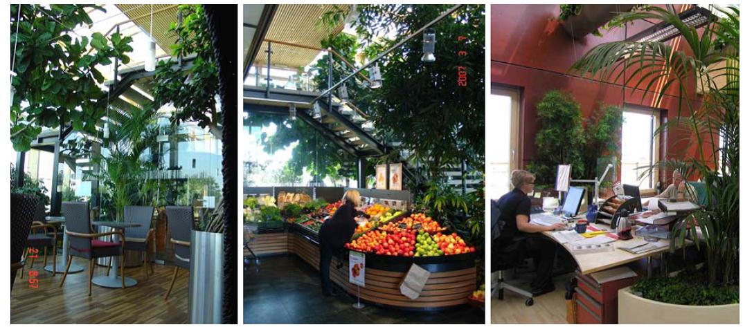 Neubau Biohof Achleitner – Gebäude aus Holz, Stroh & Lehm, Raumklimatisierung mit Hilfe von Pflanzen. Berichte aus Energie und Umweltforschung 4/2008 (Hrsg.: BMVIT) Drei Bilder zeigen den Neubau des Biohofs Achleitner von innen