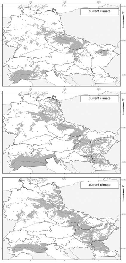 Abb. 2 bis 4: Potenziell geeignetes Areal für die untersuchten Neophyten unter gegenwärtigem Klima in Mittel- und Osteuropa. oben das Dreispaltige Traubenkraut (Ambrosia trifida); in der Mitte der Einjährige Beifuß (Artemisia annua) und unten das Rispenkraut (Iva xanthiifolia) Potenziell geeignetes Areal für die untersuchten Neophyten unter gegenwärtigem Klima in Mittel- und Osteuropa